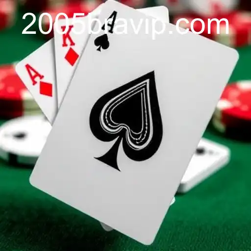 Gaming Experience 2005bet - 800+ Premium and Exclusive Games